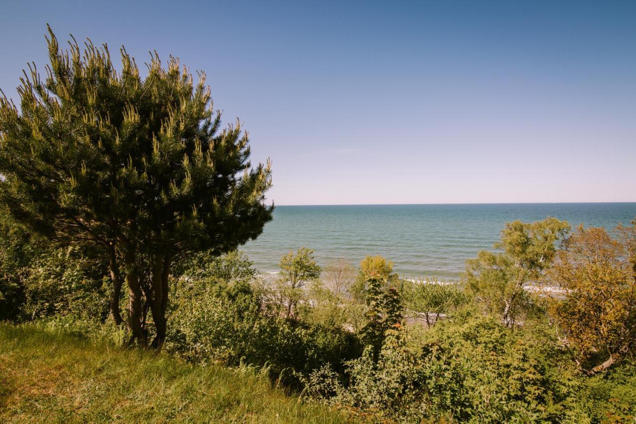 Domki Alefala Jastrzębia Góra Exterior foto